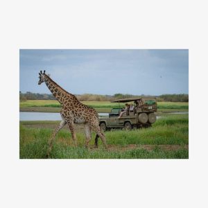 1 Day Tanzania - Selous Game Reserve Safari Tour