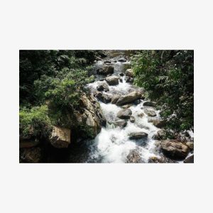 Hike for 4 days to the Lost City, Santa Marta